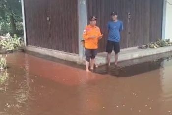 BPBD: Waspada binatang berbisa pada malam hari saat banjir rob