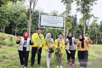 Dosen ULM bangun orchidarium khas hutan Meratus di Taman Biodiversitas