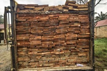 Truk dipenuhi 10 kubik kayu olahan diamankan, diduga kayu haram