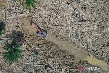 Penegak hukum harus berani tindak perusak hutan