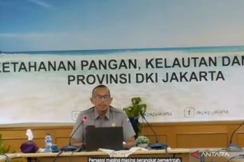 DKI ajak warga melapor bila temukan tempat jual daging anjing