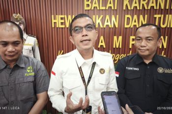 Lampung ekspor udang ke AS 28 kali pada November-Desember 2025