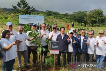KLH dan EAL tanam 350 pohon endemik di lereng Gunung Pangrango