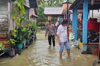 Banjir Rob genangi 84 rumah di pesisir Bengkayang