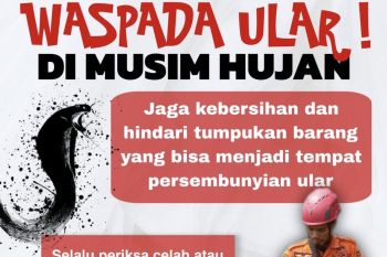 BPBD Balangan imbau warga hati-hati kemunculan ular di rumah