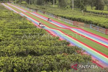 Bupati Sukabumi apresiasi keberadaan Goalpara Tea Park perkuat pariwisata daerah