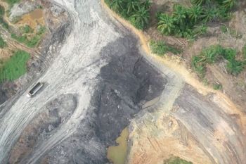 Kemenhut tangkap empat penambang batu bara ilegal di cagar alam Kaltim