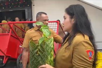 Pemkot Ambon bagikan 14 ribu bibit  cabai pada 10 kelompok tani