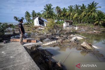 Sumatran elephants, human bear heavy toll of devastating floods