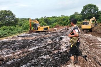 Bupati Lamtim wujudkan tanggul sungai di Braja Asri, berfungsi penangkal gajah liar Way Kambas