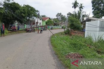 PLN Lembayung pulihkan jaringan listrik pasca hujan badai