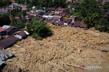 Tumpukan kayu gelondongan masih tersangkut di kawasan permukiman