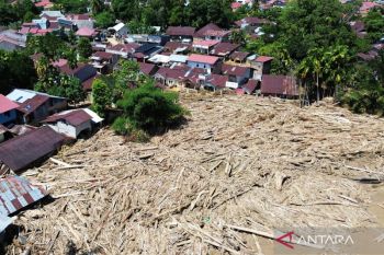 Kemenhut: Potensi area rehabilitasi pascabencana Sumatera mencapai 49.197 ha