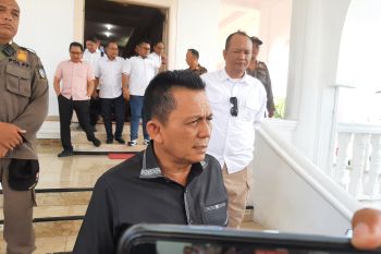 Kurangi ketergantungan, Gubernur Kepri ajak warga tanam cabai dan sayur di pekarangan rumah