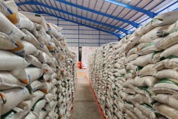 Bulog: CBP capai 162 ribu ton, beras di Lampung mencukupi
