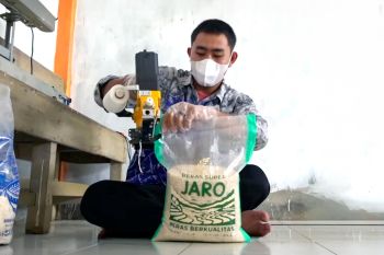 Ponpes Al-Madaniyah Jaro kembangkan usaha beras premium