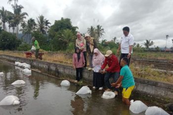 Distankan Rejang Lebong siapkan 3.200 indukan nila untuk pembibitan