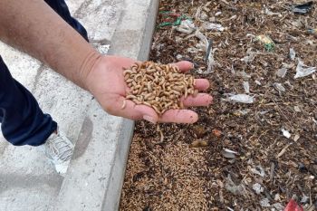 Etika pangan kita di tengah krisis iklim