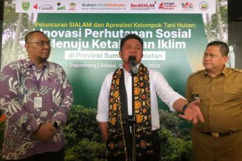 Pemprov Sumsel-Icraf luncurkan aplikasi SiAlam permudah akses perhutanan sosial