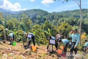 Pemkab Madiun tanam ribuan bibit pohon guna cegah bencana alam