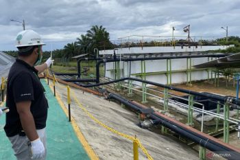 Triputra Agro Persada olah limbah sawit menjadi energi biogas 2 MW