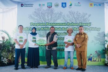Dukung energi bersih, PLN UIW Babel tanam 10.000 bibit pohon kaliandra melalui program TJSL di Belitung Timur