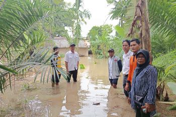 Banjir rendam lima desa di OKU Timur Sumsel