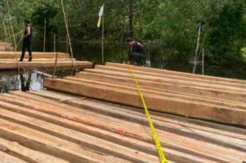 Polres Meranti Kepri sita 8 ton kayu hasil pembalakan liar