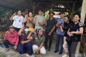 Wisatawan Singapura main ke kebun kokoa di Jembrana