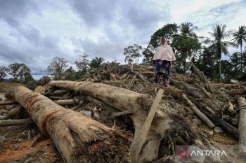 Bencana alam melanda: akibat cuaca atau ulah manusia?