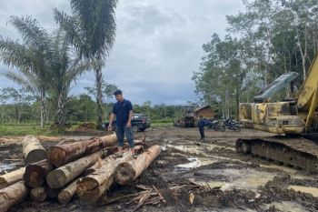 11 companies under investigation for role in North Sumatra floods