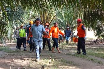 Tim gabungan Basarnas Pasaman temukan warga hanyut meninggal dunia