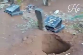 Kawanan gajah liar di Lampung Barat kembali rusak pemakaman umum warga