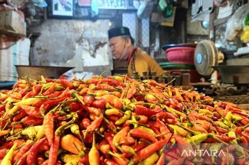 Kaltim gencarkan pangan murah atasi harga cabai