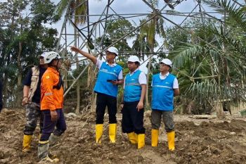 PLN terus kebut siang malam perbaiki jalur listrik Langsa-Pangkalan Brandan, penopang pemulihan kelistrikan Aceh