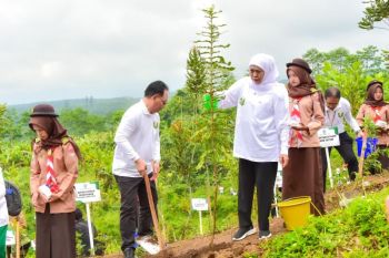 Khofifah wujudkan "net zero emission" lewat tanam bibit di Lumajang