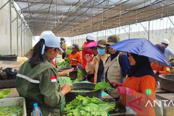 PT Mayawana Persada bantah tuduhan kriminalisasi Tokoh Adat Lelayang