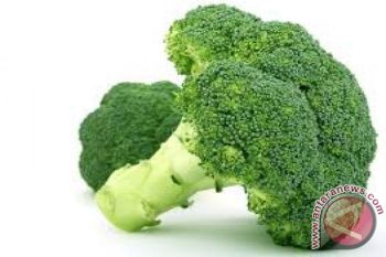 Jarang Disadari, Brokoli Ternyata Bisa Menjaga Daya Ingat Otak