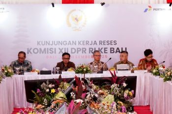 BPH Migas dan DPR RI pantau kesiapan pasokan energi di wilayah Bali
