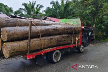 LSM minta polisi usut pengiriman kayu gelondongan di Aceh Barat saat bencana banjir bandang