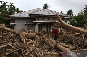 Indonesia restores electricity in 5,961 flood-hit Aceh villages