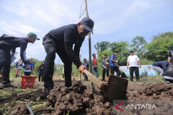 Tangerang galakkan gerakan menanam pohon pada awal Desember