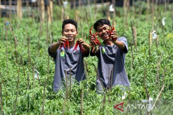 Outlook Pertanian 2026 dari Swasembada ke Sistem Pangan Berkelanjutan