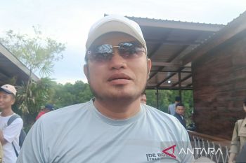 Gubernur Kaltim sebut Kawasan Manggar jadi contoh rehabilitasi pesisir