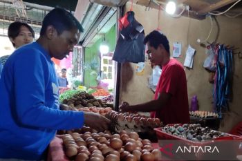 DJPb catat penyaluran program UMi di Bengkulu capai Rp88,30 miliar