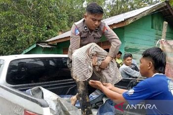 Korban meninggal akibat bencana di Sumut bertambah jadi 355 orang