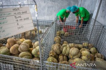 Indonesia ships first export of 48 tons frozen durians toChina