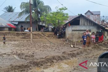 Dewan Profesor USK bersurat ke Prabowo minta tetapkan bencana nasional