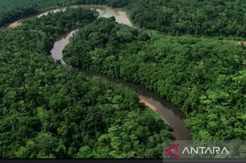 Kaltim komitmen jaga lingkungan dengan reforestasi hutan berkelanjutan