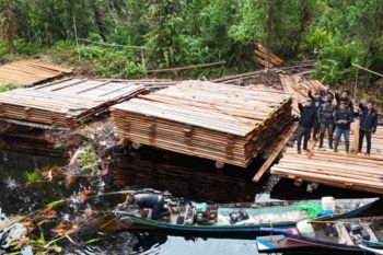 KLH Sita 300 meter kubik kayu olahan ilegal di Inderagiri Hulu Riau